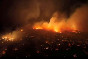 Incêndios no Havai: populares atiram-se ao mar para fugir às chamas