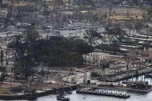 Pelo menos 53 mortos em incêndios florestais no Havai