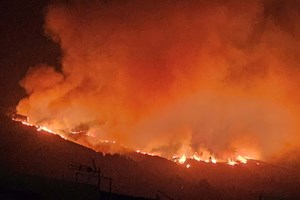 Tenerife. Fogo já consumiu 300 hectares e cinco aldeias foram evacuadas