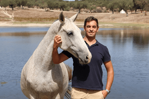 Cavalos lusitanos que valem milhões