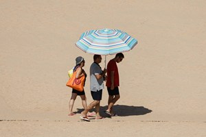 Alvega e Pinhão atingiram 45,6ºC. 50% do território registou mais de 40ºC