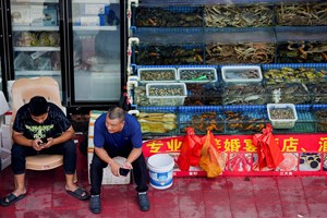 Sal esgota nas plataformas online da China