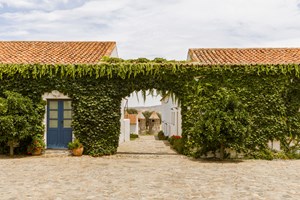 Conheça as adegas mais instagramáveis de Portugal