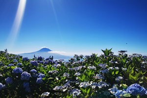 Açores. Um triângulo amoroso