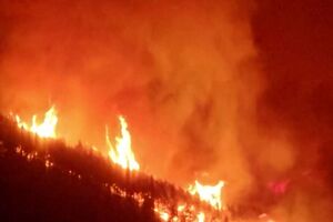 Quatro aldeias evacuadas e cerca de 130 hectares ardidos na ilha espanhola de Tenerife 