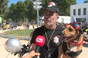 Concentração Internacional de Motos em Góis bateu recorde de afluência