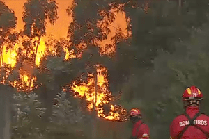  Homem detido em Penafiel acusado de ter ateado sete fogos