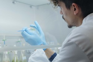 Cientistas portugueses querem 'acordar' células para melhorar eficácia de antibióticos