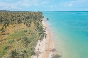 Percorrer Alagoas, da caatinga à restinga