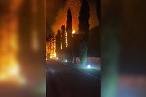 Fogo de artifício dá origem a incêndio em Pedrouços na Maia
