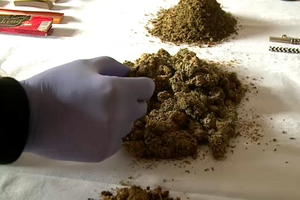 Nove arguidos e 80 pessoas identificadas por consumo e tráfico de droga num festival em Oliveira do Hospital