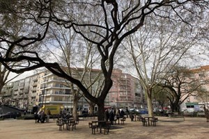 Junta lisboeta da Penha de França repõe cadeiras e mesas na Praça Paiva Couceiro