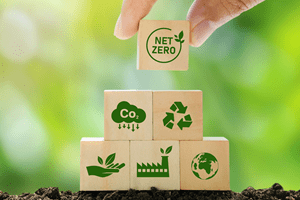 'Herói da Sustentabilidade' anunciado a 11 de outubro