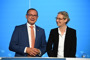 AfD na Alemanha. O regresso da extrema-direita 