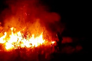 Incêndios florestais destroem milhares de hectares da Amazónia boliviana