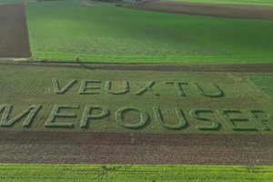 Agricultor desenha pedido de casamento num campo do norte de França