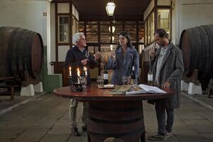 Colares: vinhos com tradição