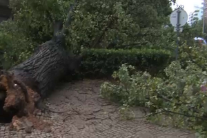Mais de 100 ocorrências após passagem de depressão Bernard pelo distrito de Faro