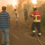Metade dos incêndios urbanos em Portugal com origem dolosa