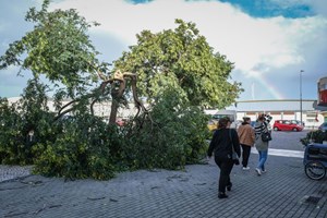 Mau tempo: Proteção Civil registou hoje 885 ocorrências entre as 00h e as 15h