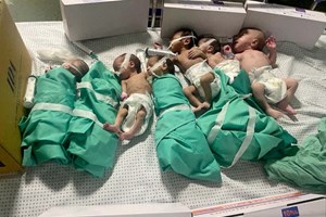 Caixas e sacos de plástico: como se salvam bebés prematuros em Gaza 