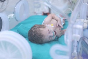 Governo de Gaza acusa Israel de abandonar bebés palestinianos