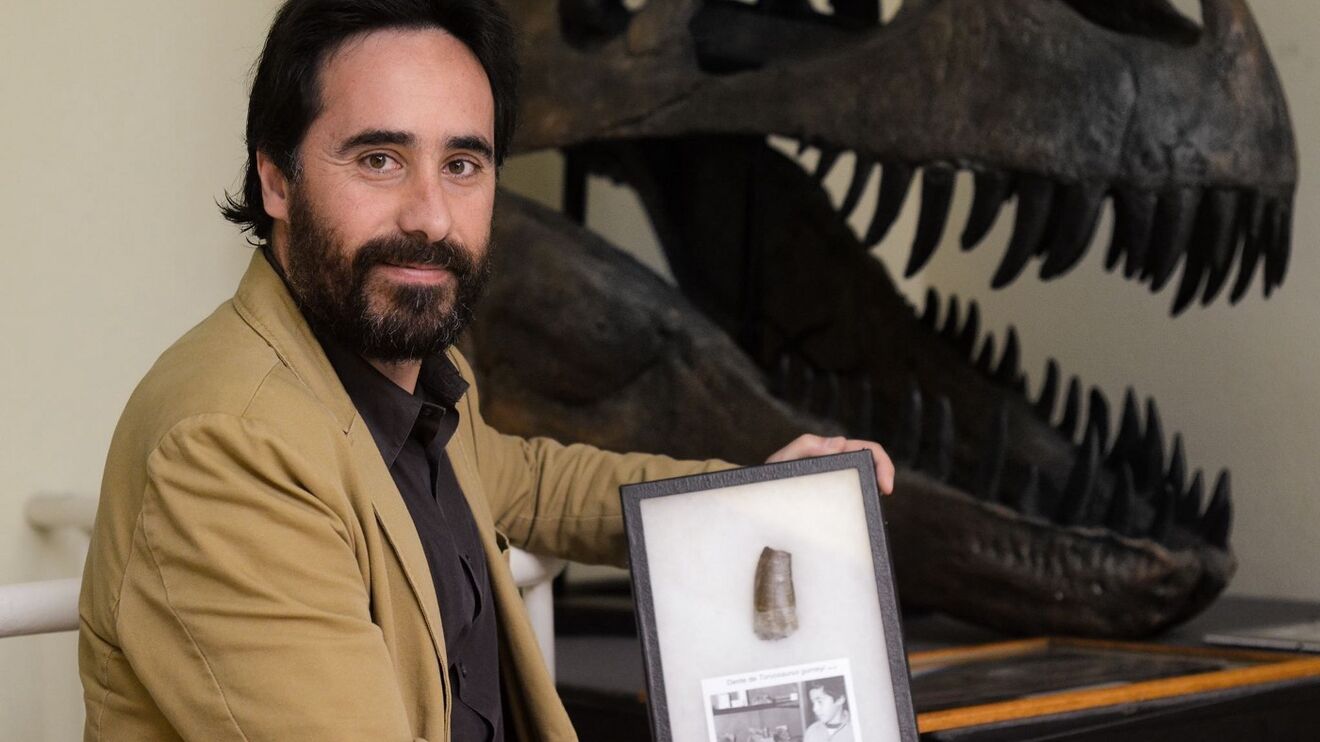 Imagem 39487231.jpeg (19875665) (Milenium)