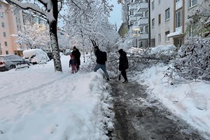 Sul da Alemanha parcialmente paralisado devido a fortes nevões