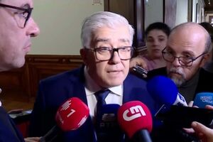 António Lacerda Sales diz que aguarda documentos para se "tentar relembrar" do caso das gémeas tratadas no Santa Maria