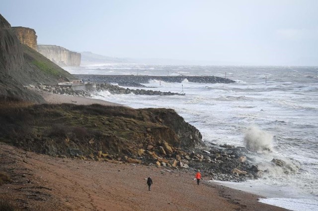 Crânio de dinossauro marinho é descoberto no sul da Inglaterra