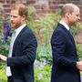 William e Harry: Príncipes cada vez mais zangados