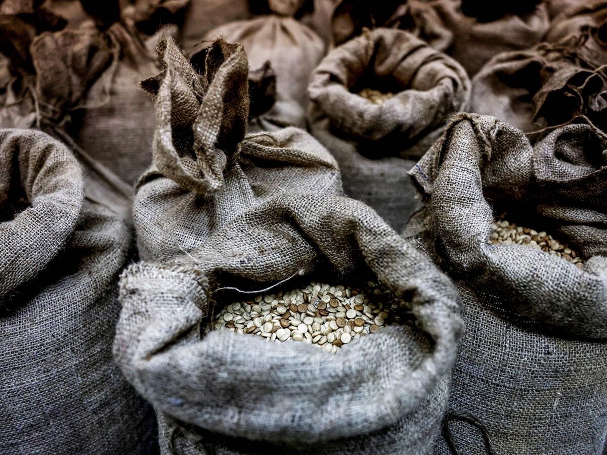 Captagon, a droga do terror