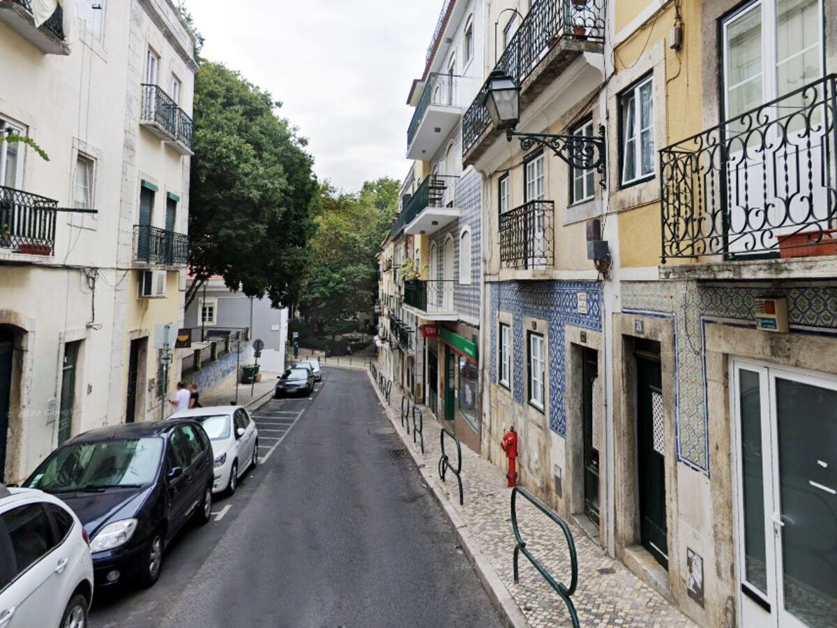 Políticos: a minha não tão alegre casinha