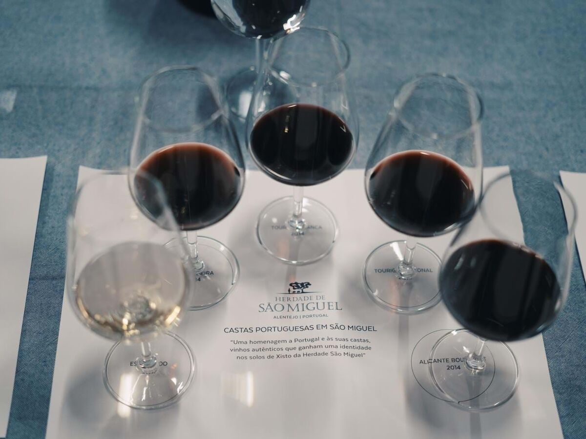 Herdade de São Miguel 2022: uma colheita perfeita?