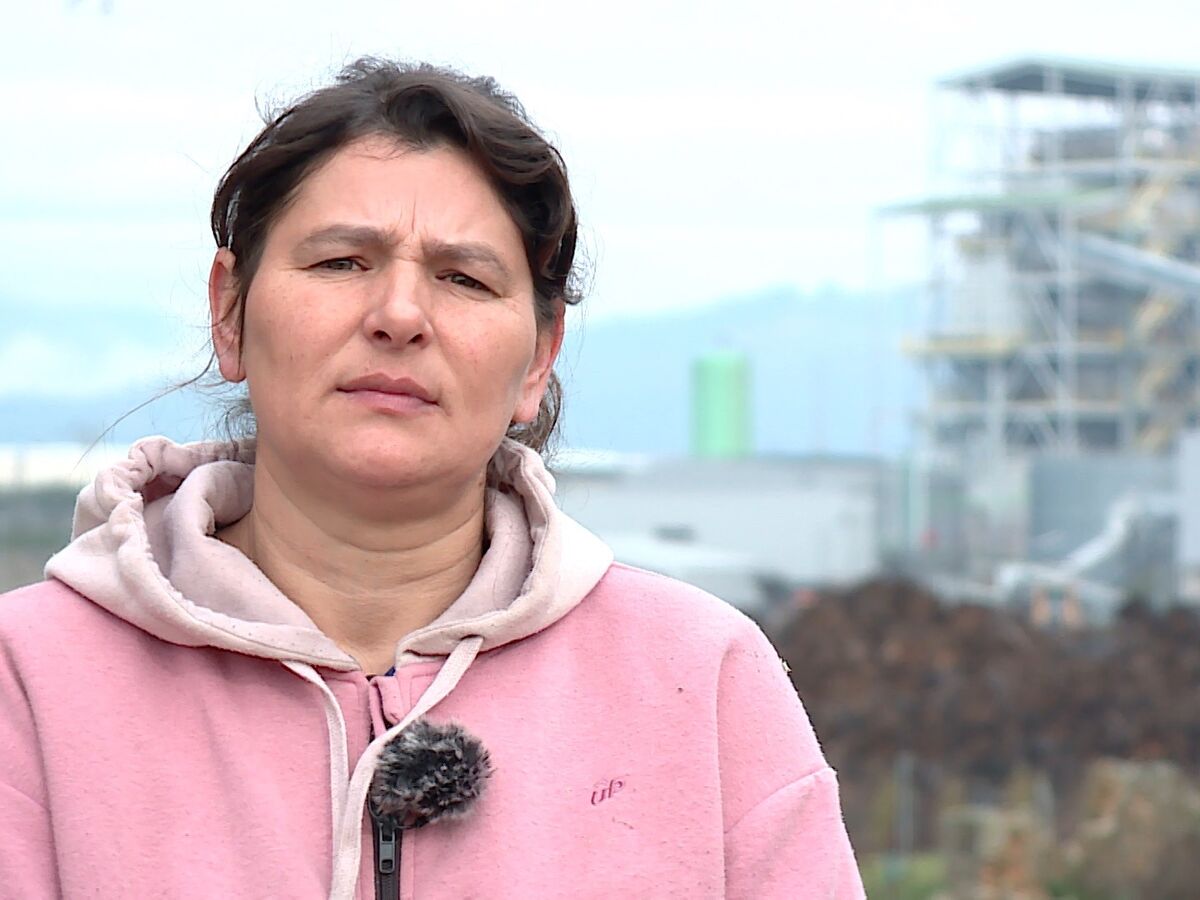 Investigação SÁBADO. O pesadelo de ter uma fábrica como vizinho