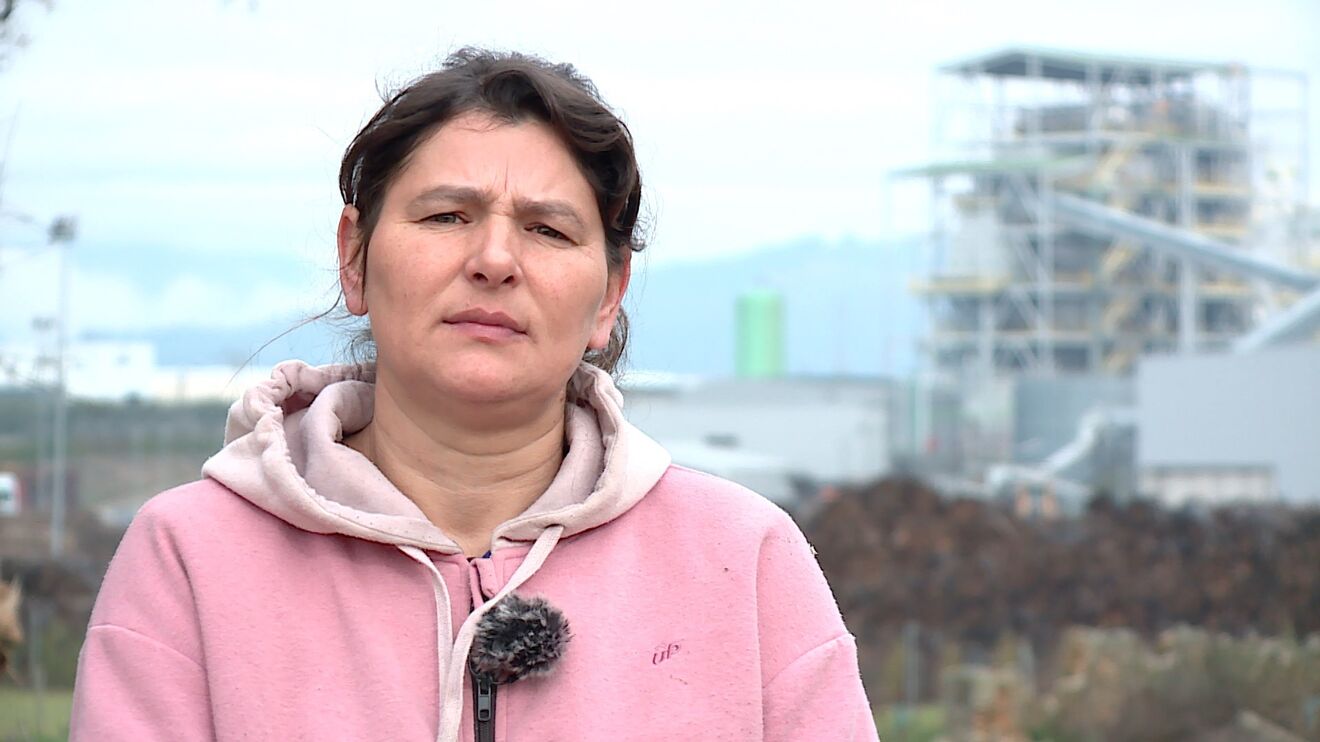 Investigação SÁBADO. O pesadelo de ter uma fábrica como vizinho