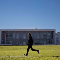 Universitários pagam centenas de euros por um quarto. Como solucionar?