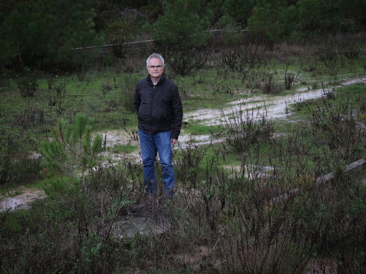 Investigação SÁBADO: Obrigados a vender terrenos por mil euros