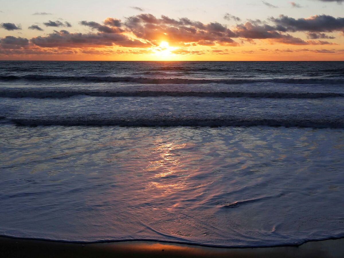 Enterrar carbono é uma solução?