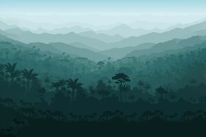 As maiores florestas do mundo