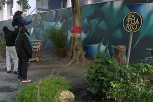 Estuário Coletivo devolve o bairro a mais de 30 crianças em Cacilhas