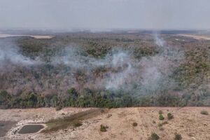 Amazónia brasileira com incêndios florestais recorde em fevereiro