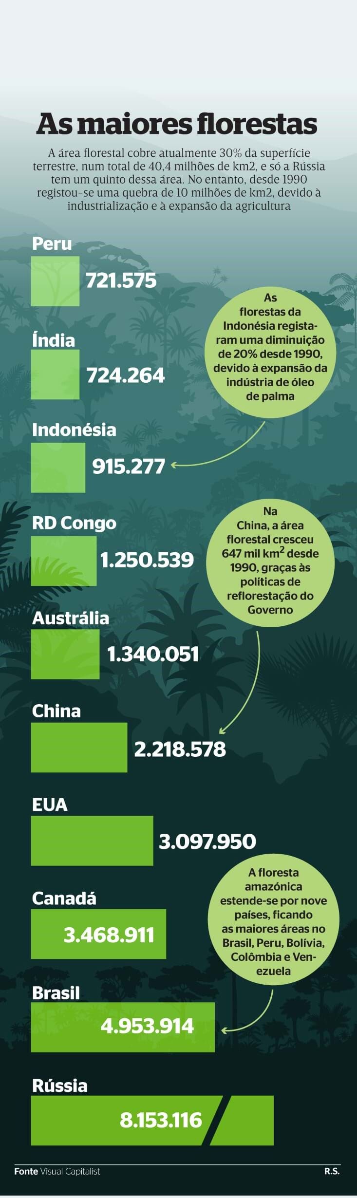 As maiores florestas do mundo
