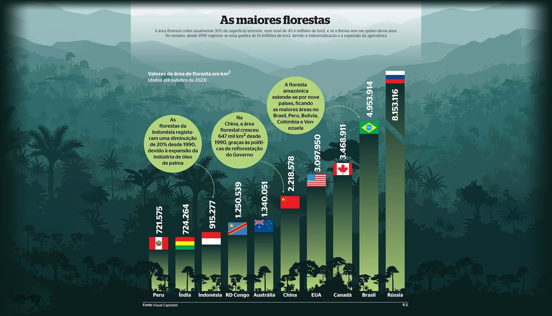 As maiores florestas do mundo