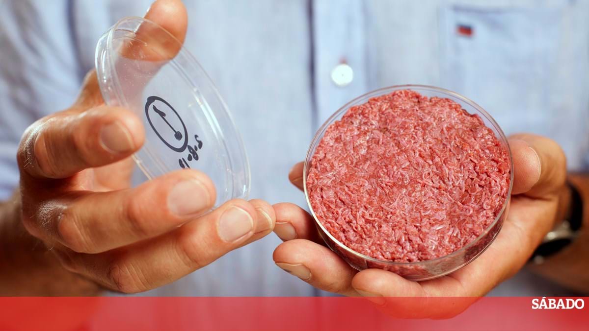 Laboratory-grown meat?  Yes, but it is necessary to educate the consumer – science and health