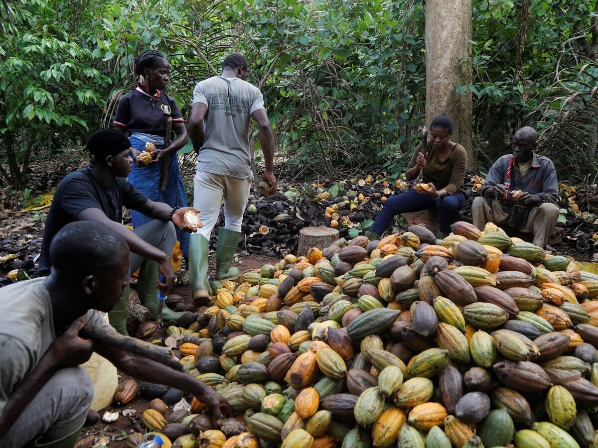 O chocolate vai sair das prateleiras?