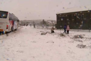 Quer ver neve no fim de semana? IPMA emite aviso para dez distritos de Portugal