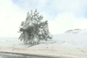 Serra de Estrela pintada de branco após dois dias de queda intensa de neve