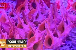 T03 EP011 GPS - GUIA PARA SAIR