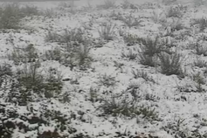 Neve pinta de branco A24 na Serra de Montemuro